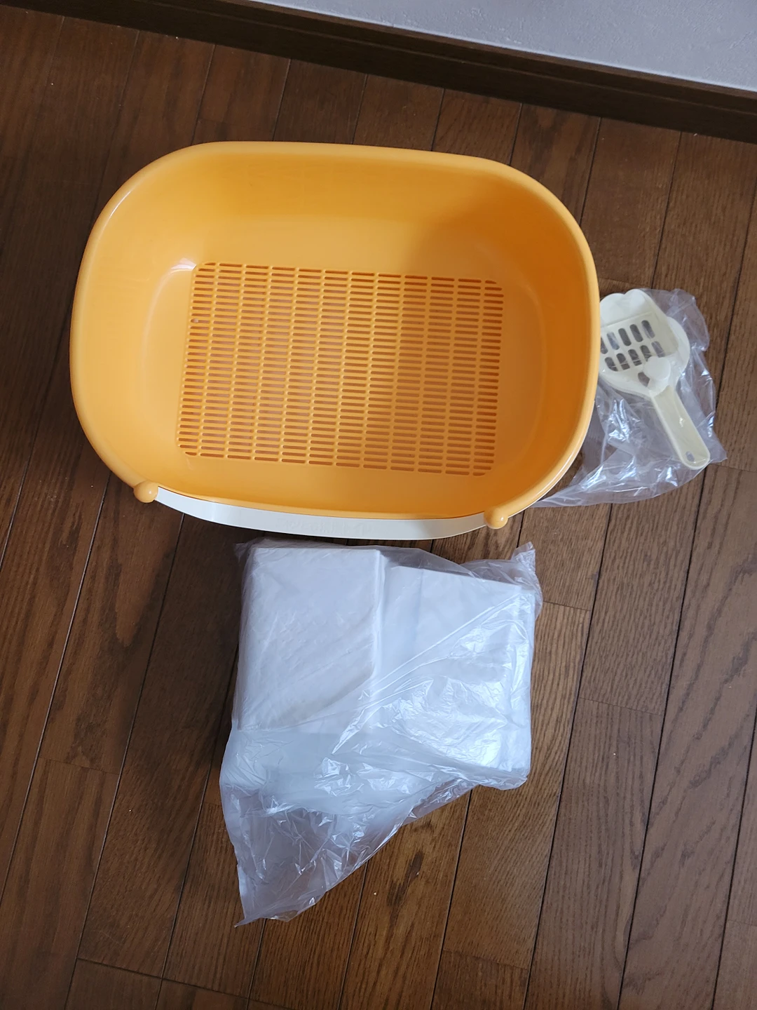 子猫用　トイレ　シート10枚