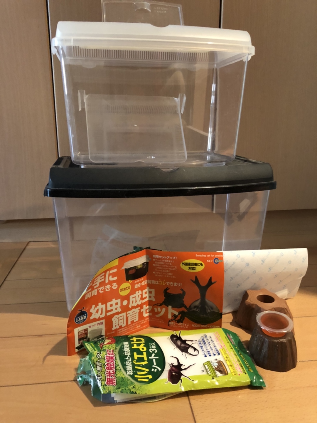 昆虫飼育ケース【2個セット‼️】