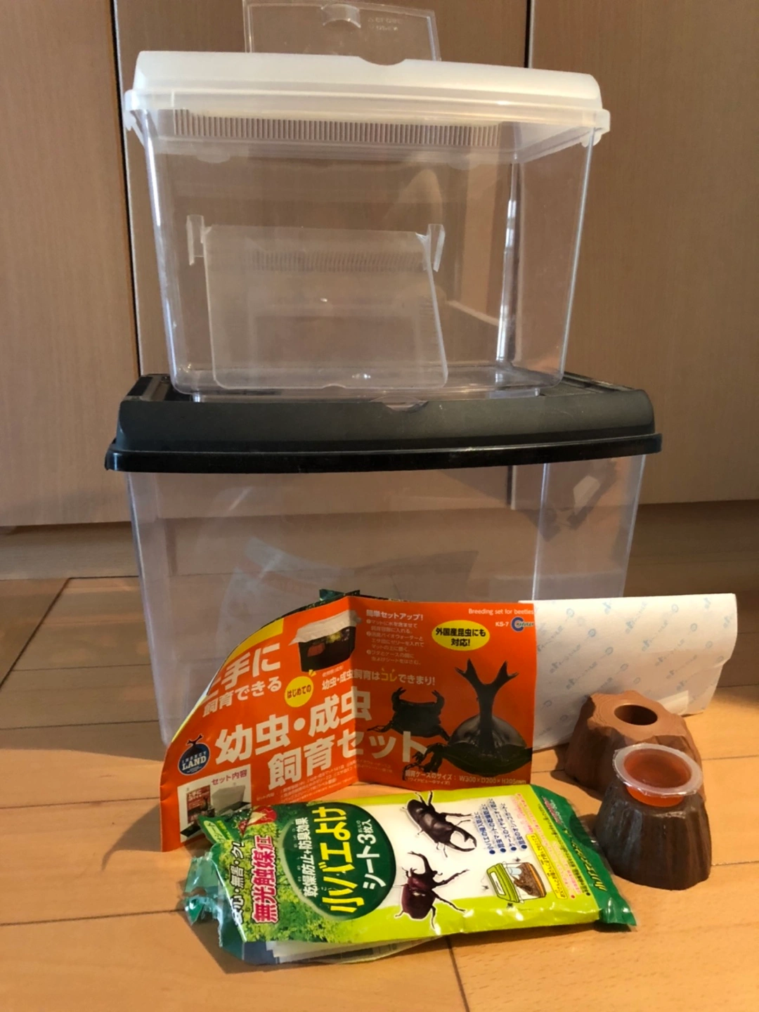 昆虫飼育ケース【2個セット‼️】