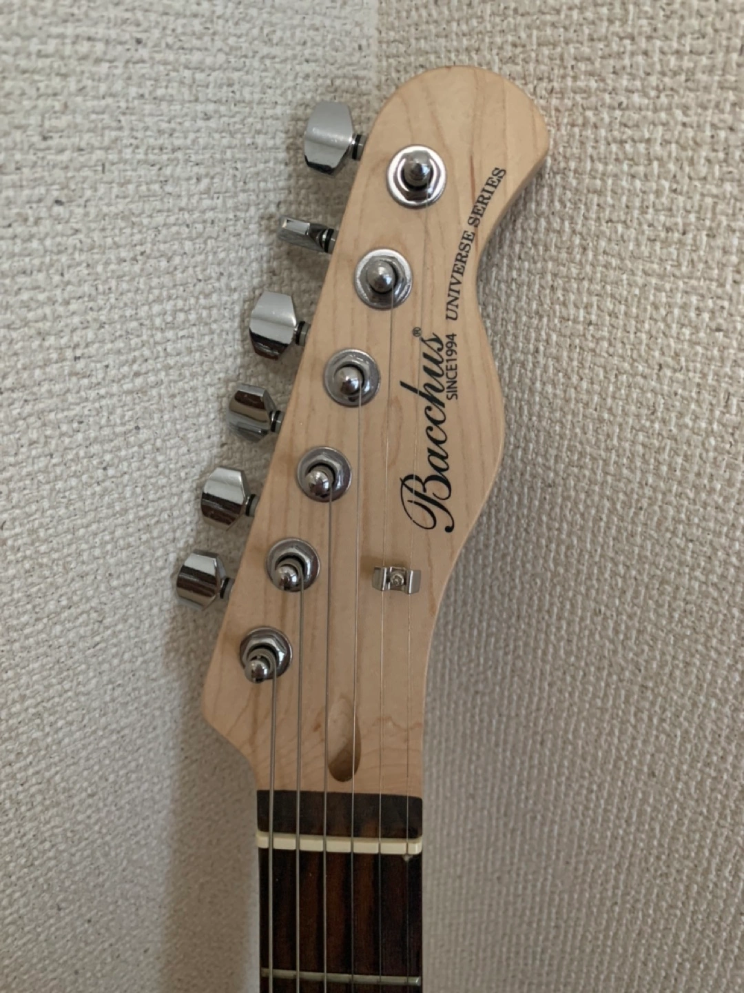 エレキギター(Bacchus) ソフトケース付き★値下げの写真2枚目