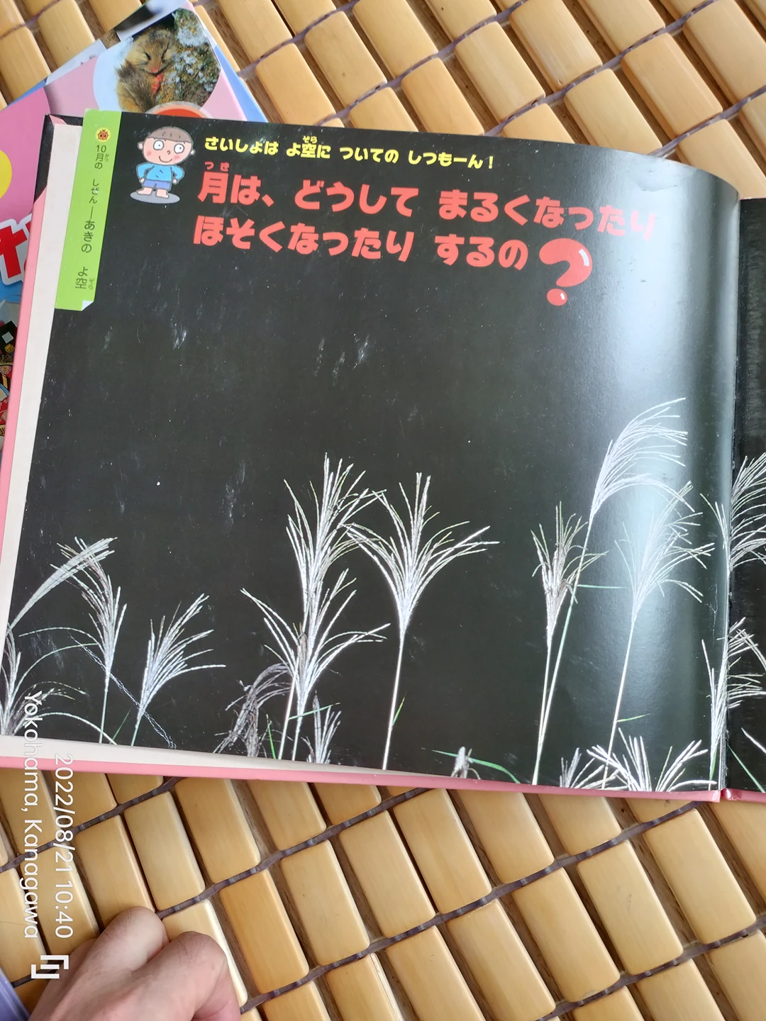 なぜなぜシリーズ絵本１月〜１２月の写真5枚目