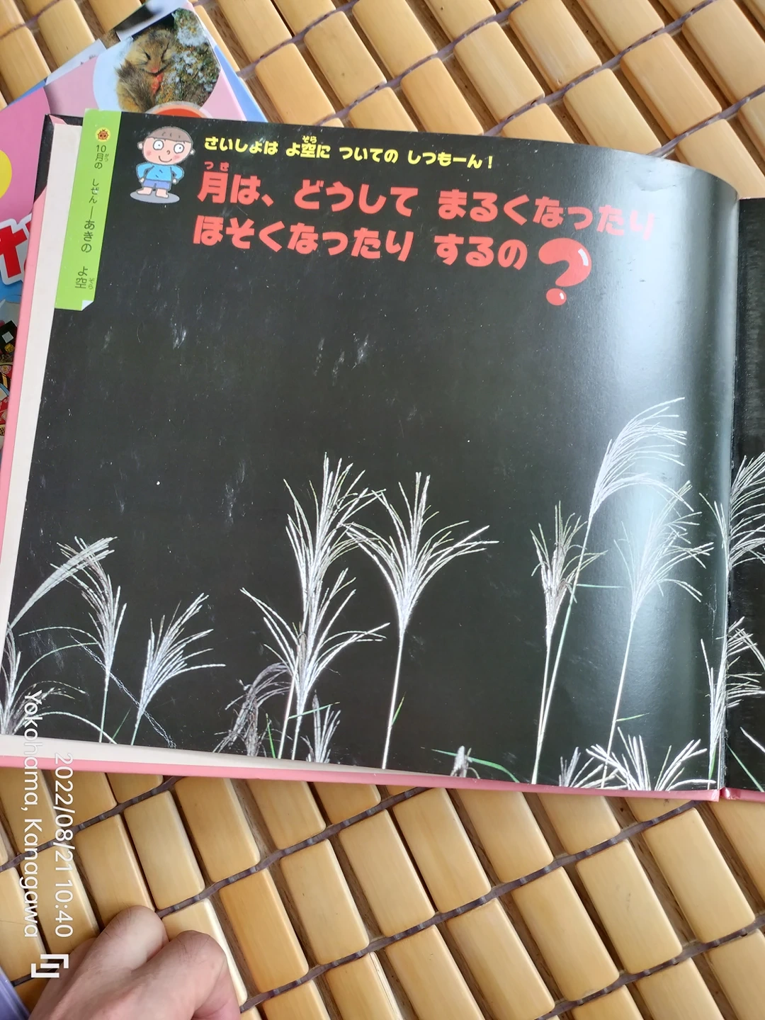 なぜなぜシリーズ絵本1月〜12月の写真5枚目