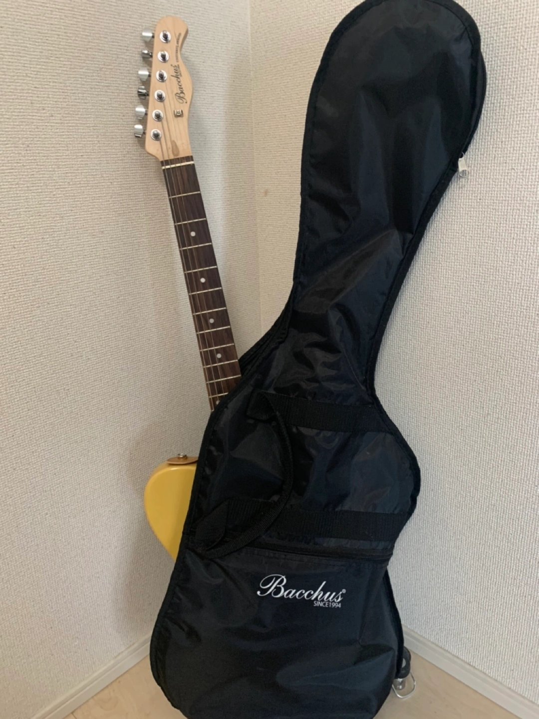 エレキギター(Bacchus) ソフトケース付き★値下げの写真6枚目