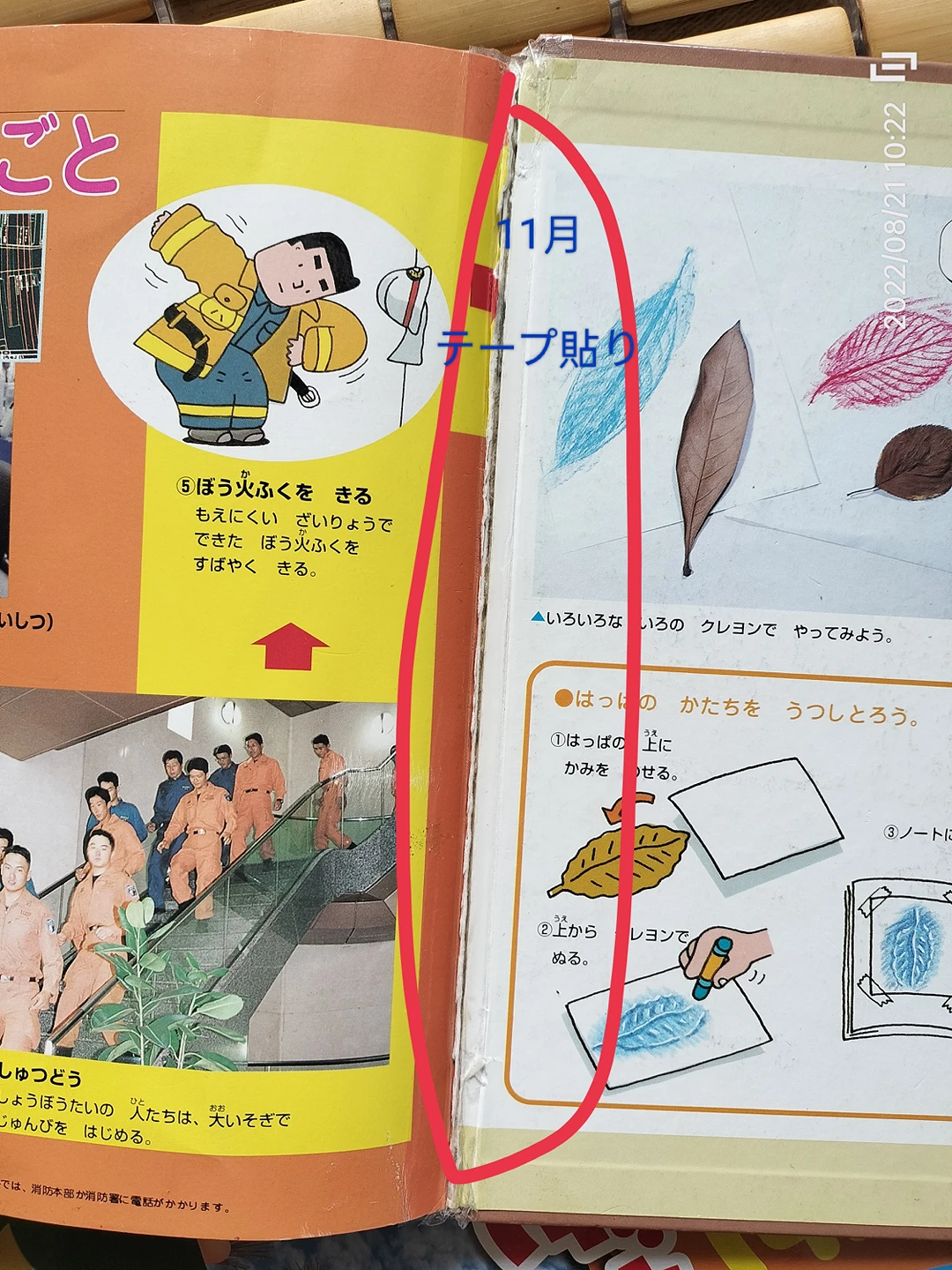 なぜなぜシリーズ絵本１月〜１２月の写真9枚目
