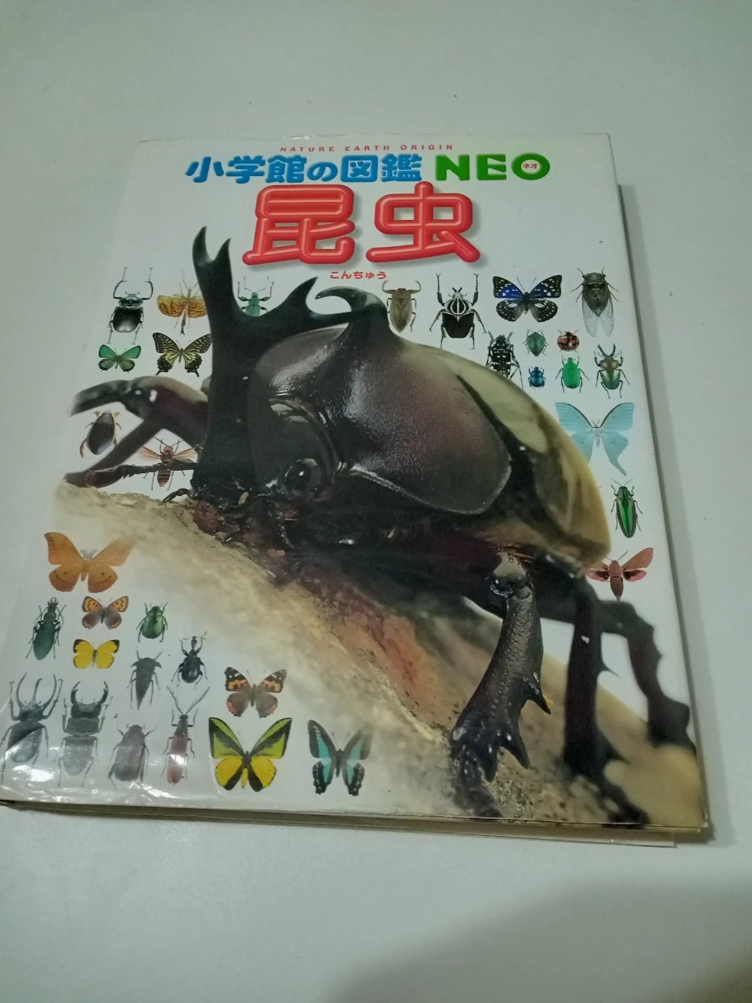 小学館昆虫図鑑