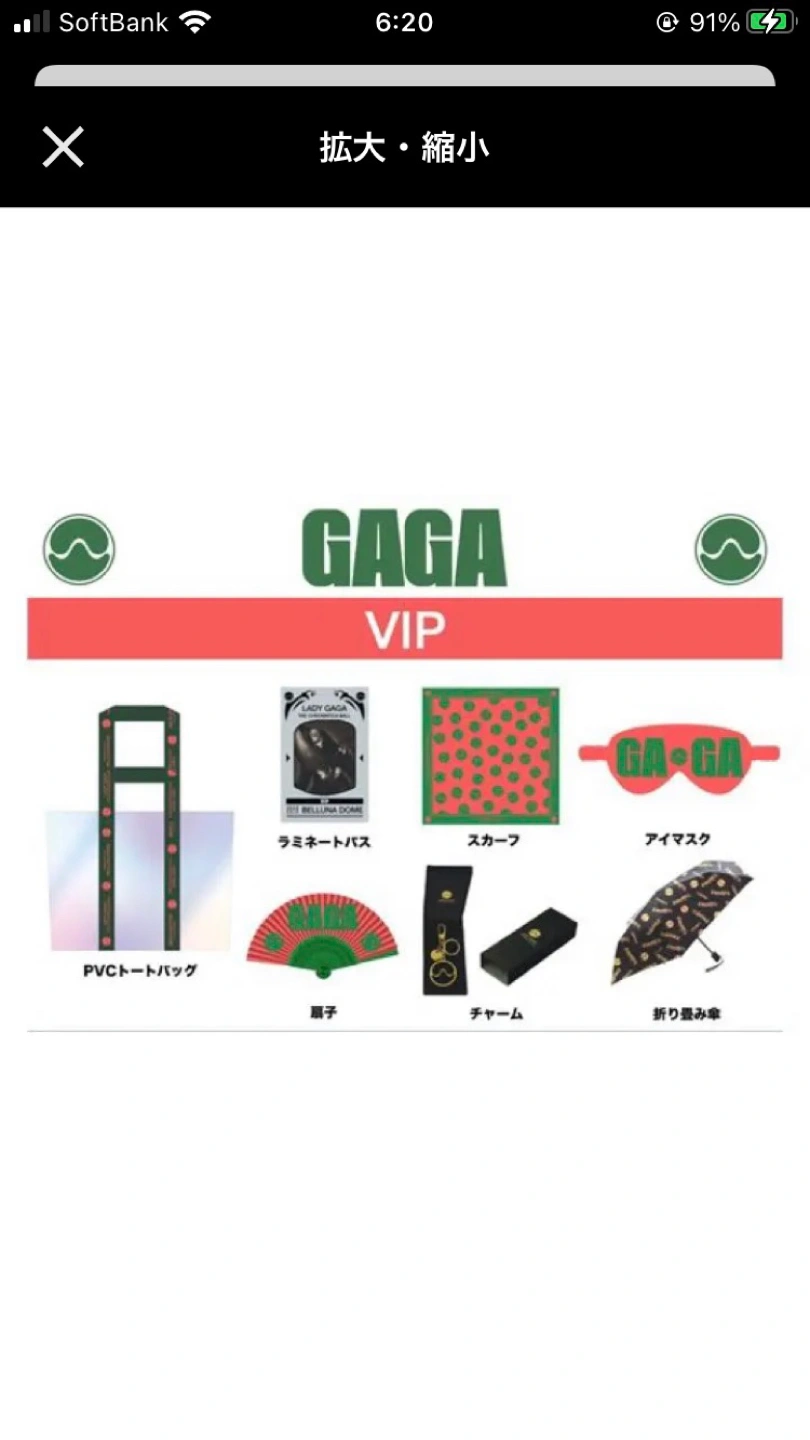 レディガガ VIP 限定 折りたたみ傘の写真2枚目