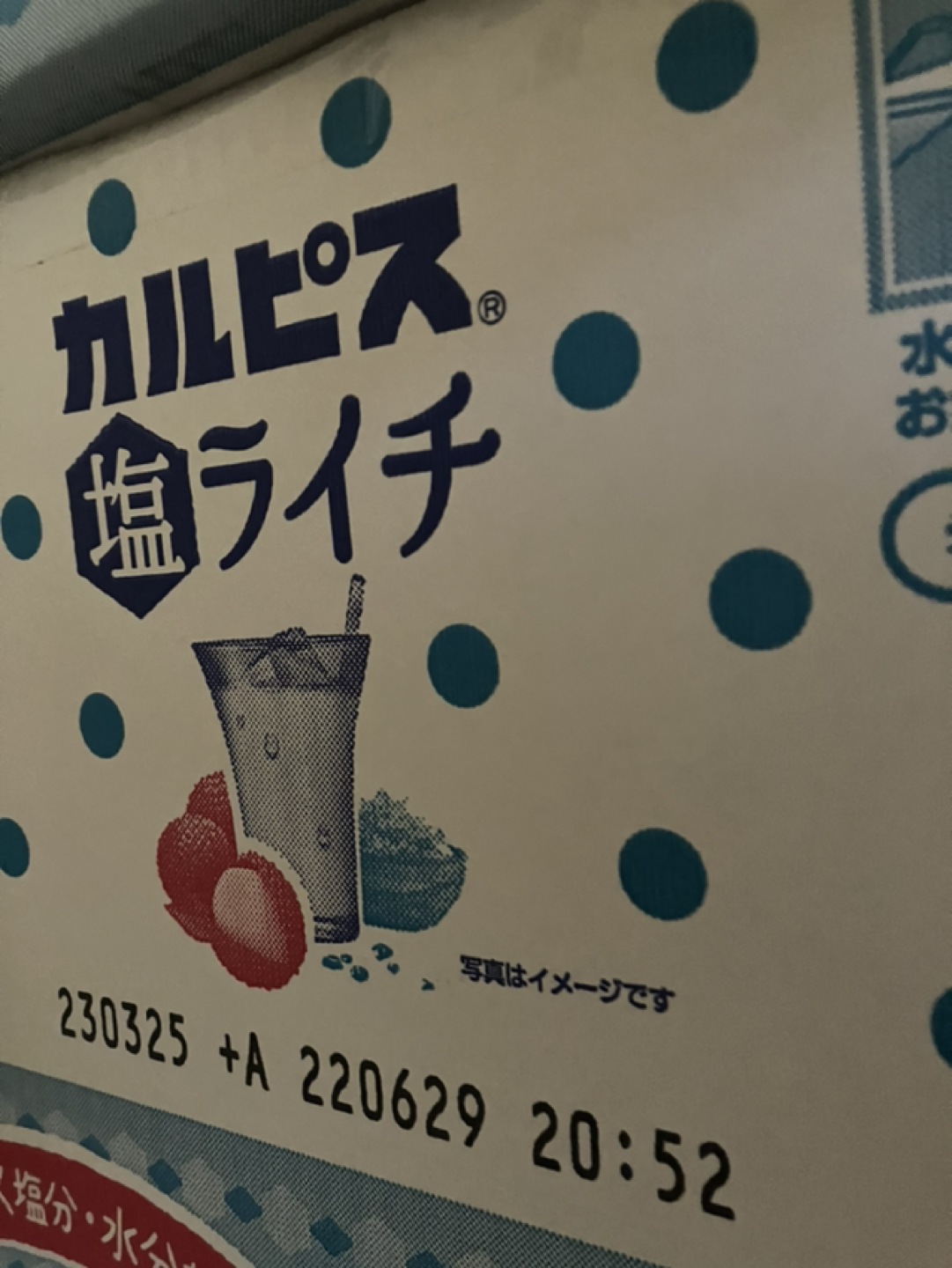 カルピス塩ライチ　12本