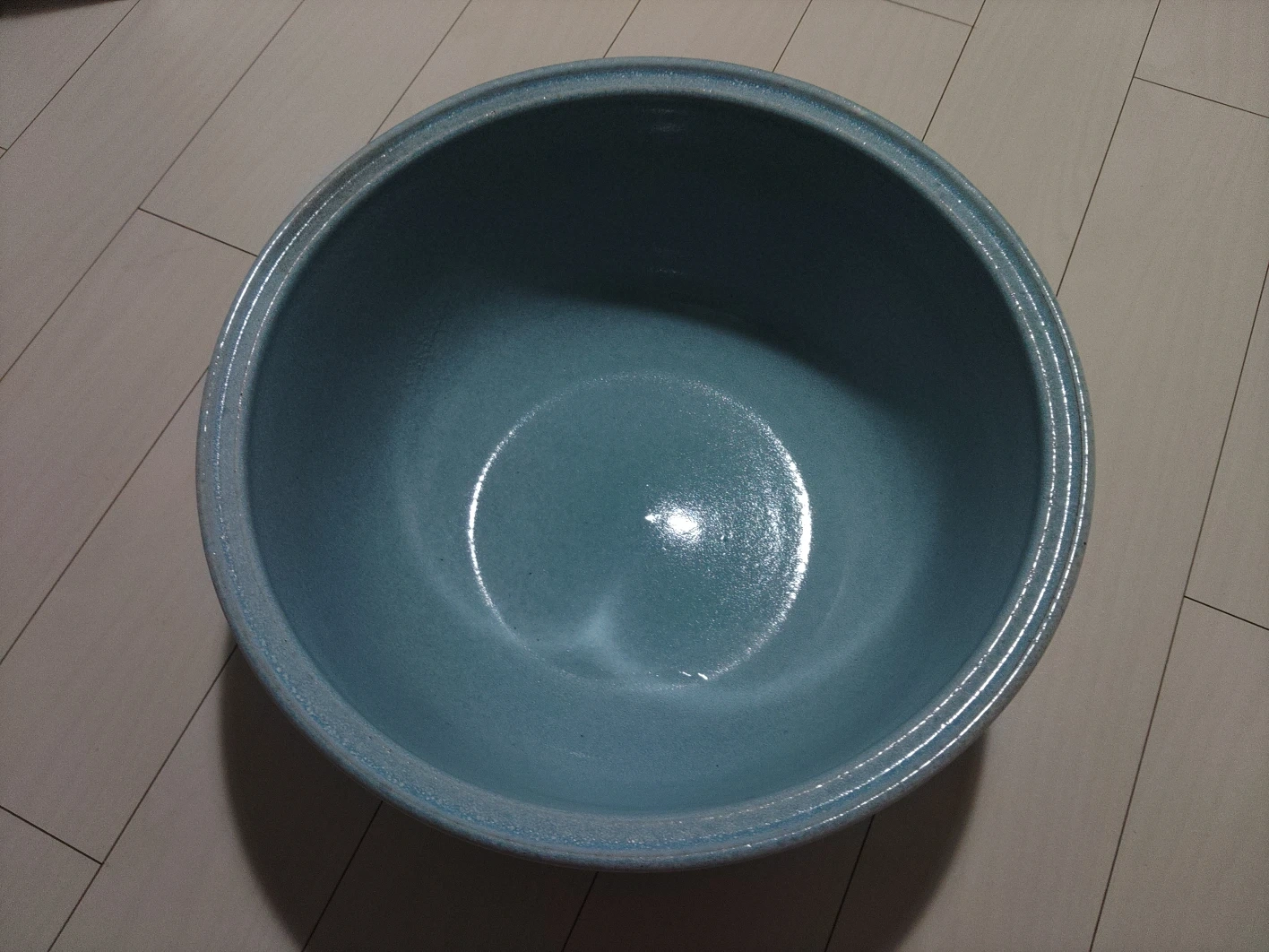 睡蓮鉢の写真2枚目