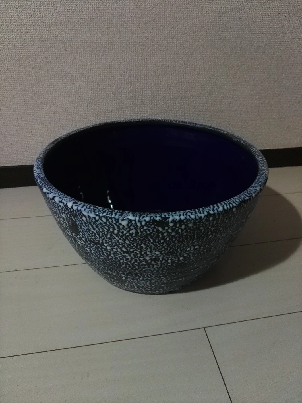 睡蓮鉢の写真2枚目