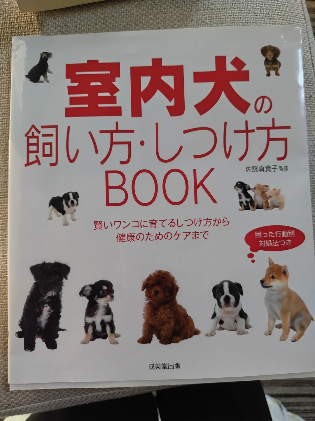 いぬの本