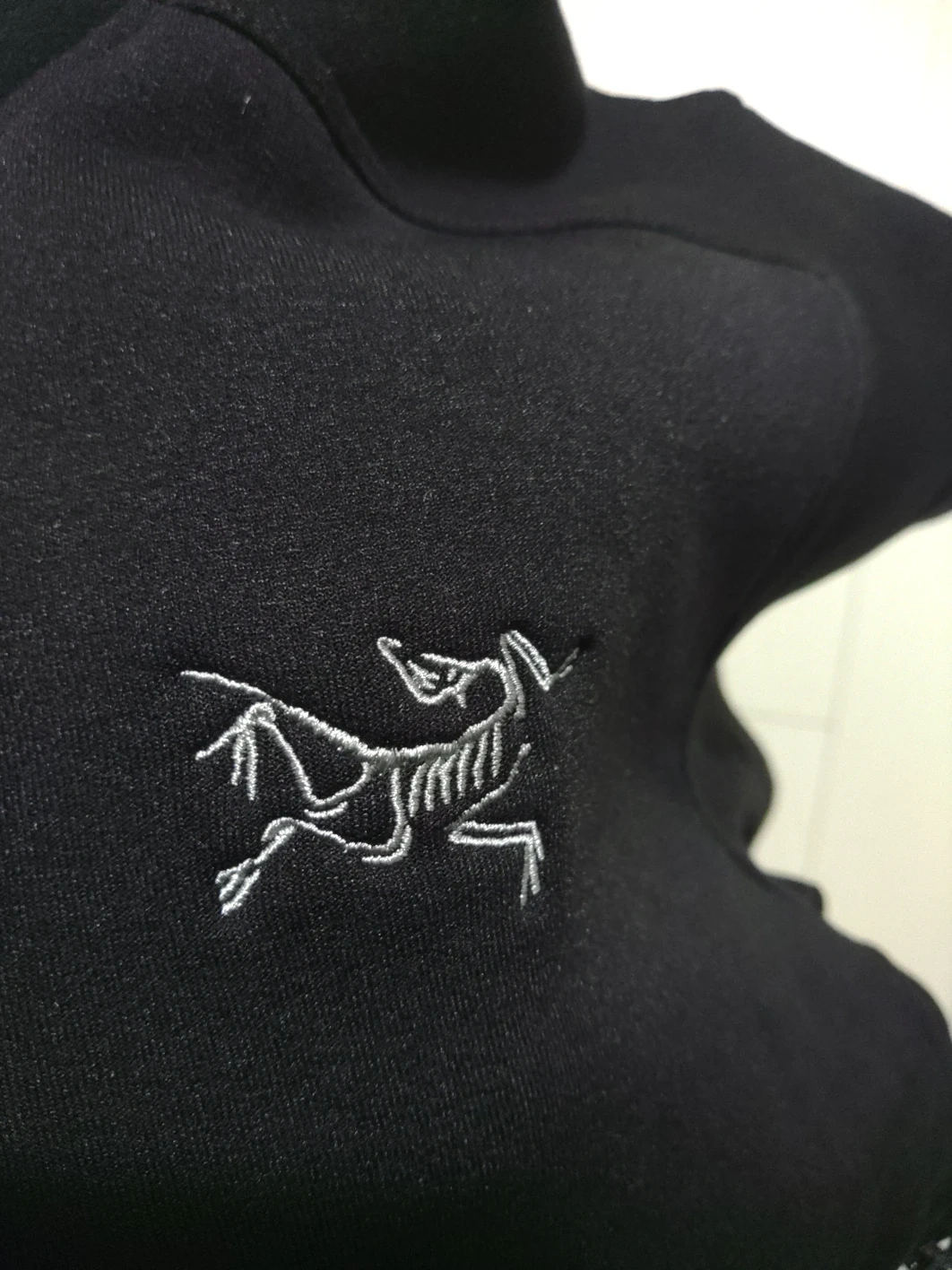 ARC’TERYX フリースの写真4枚目