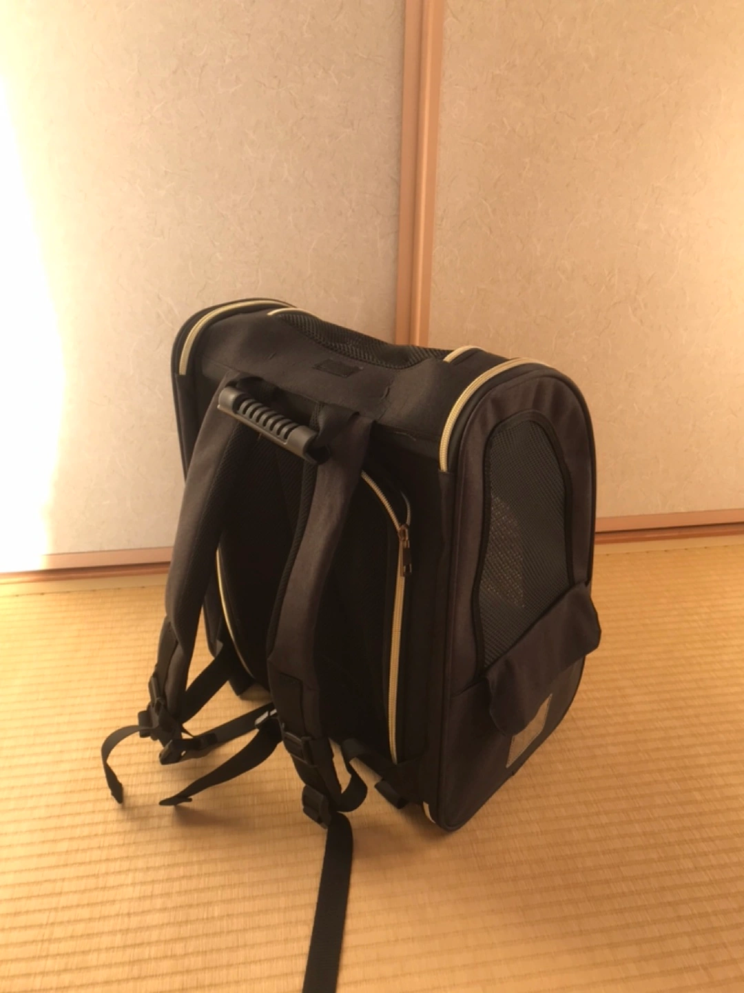 ペット用キャリーバッグ(リュック)の写真2枚目