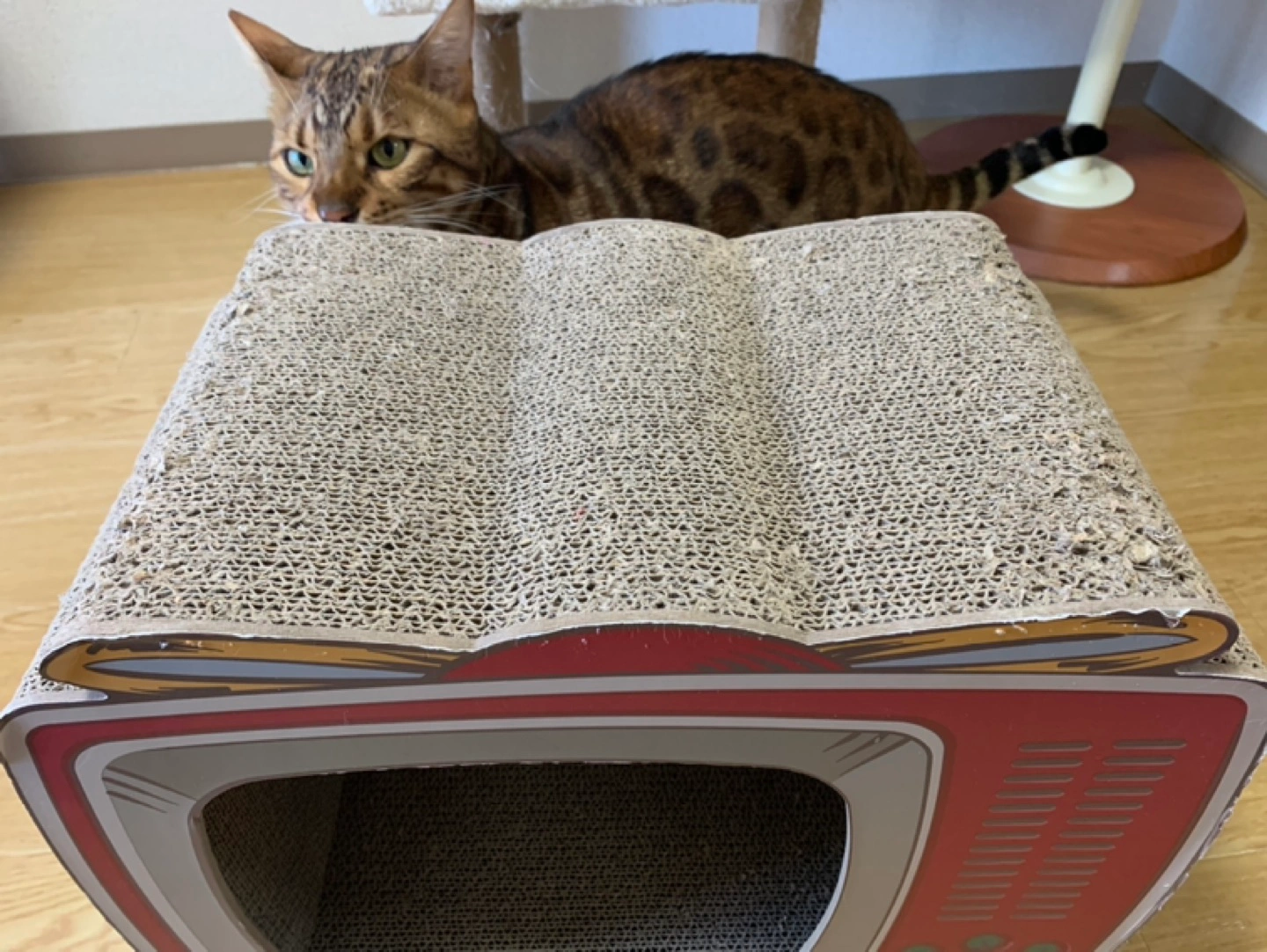 猫爪磨ぎ☆awesome storeの写真4枚目