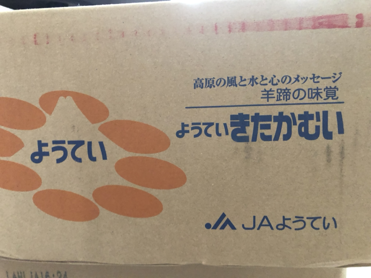 【未開封】じゃがいも10kgの写真3枚目