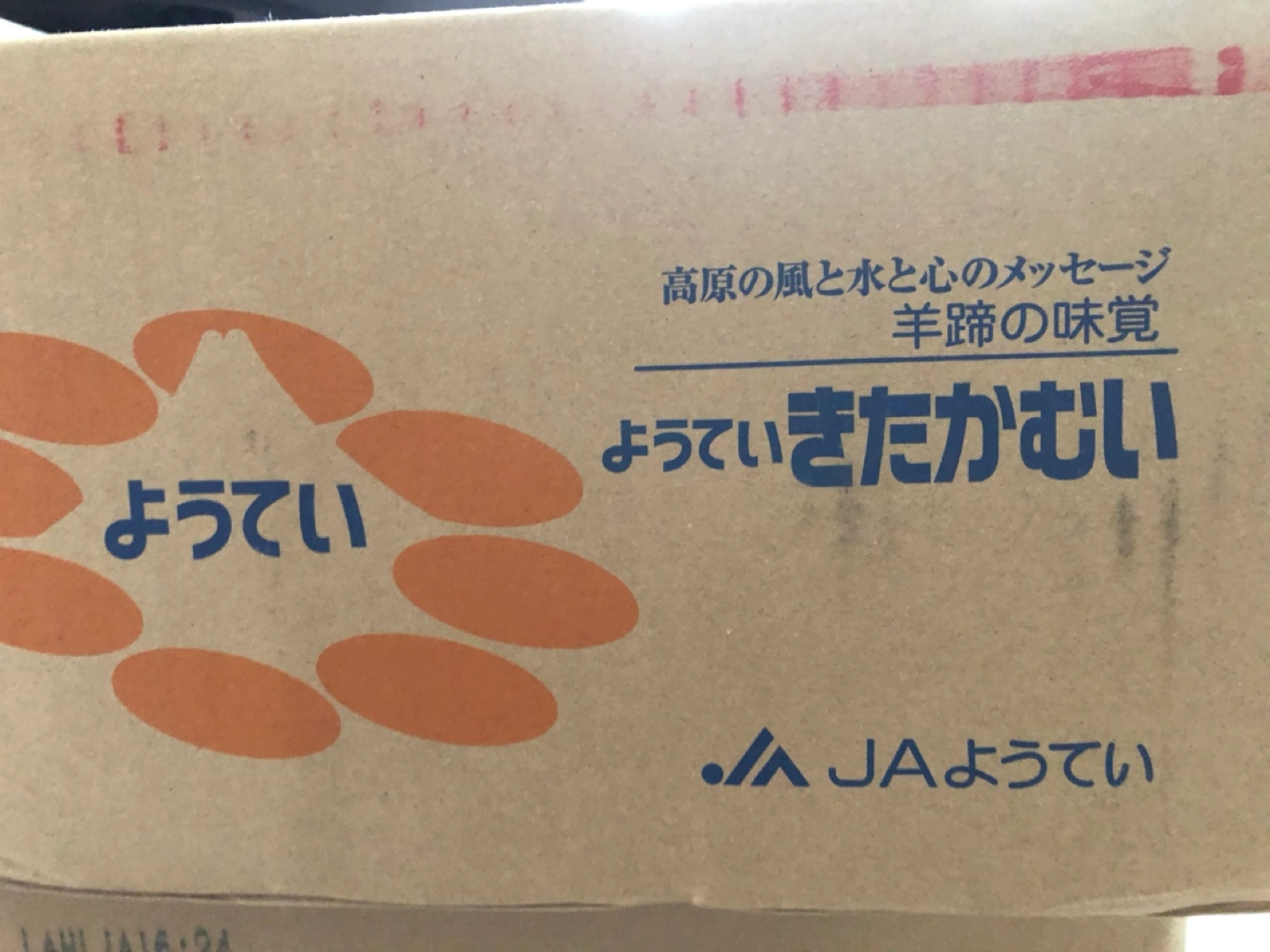 【未開封】じゃがいも10kgの写真3枚目