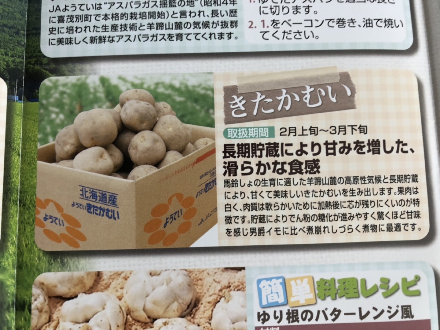 【未開封】じゃがいも10kgの写真4枚目