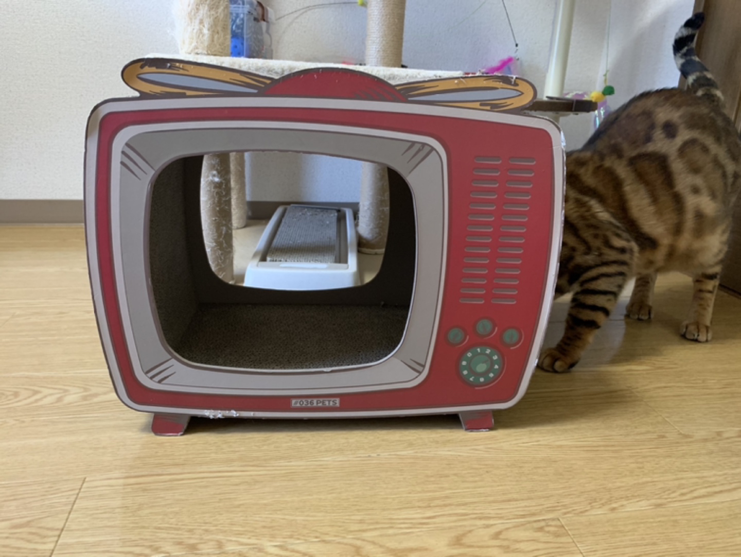 猫爪磨ぎ☆awesome store