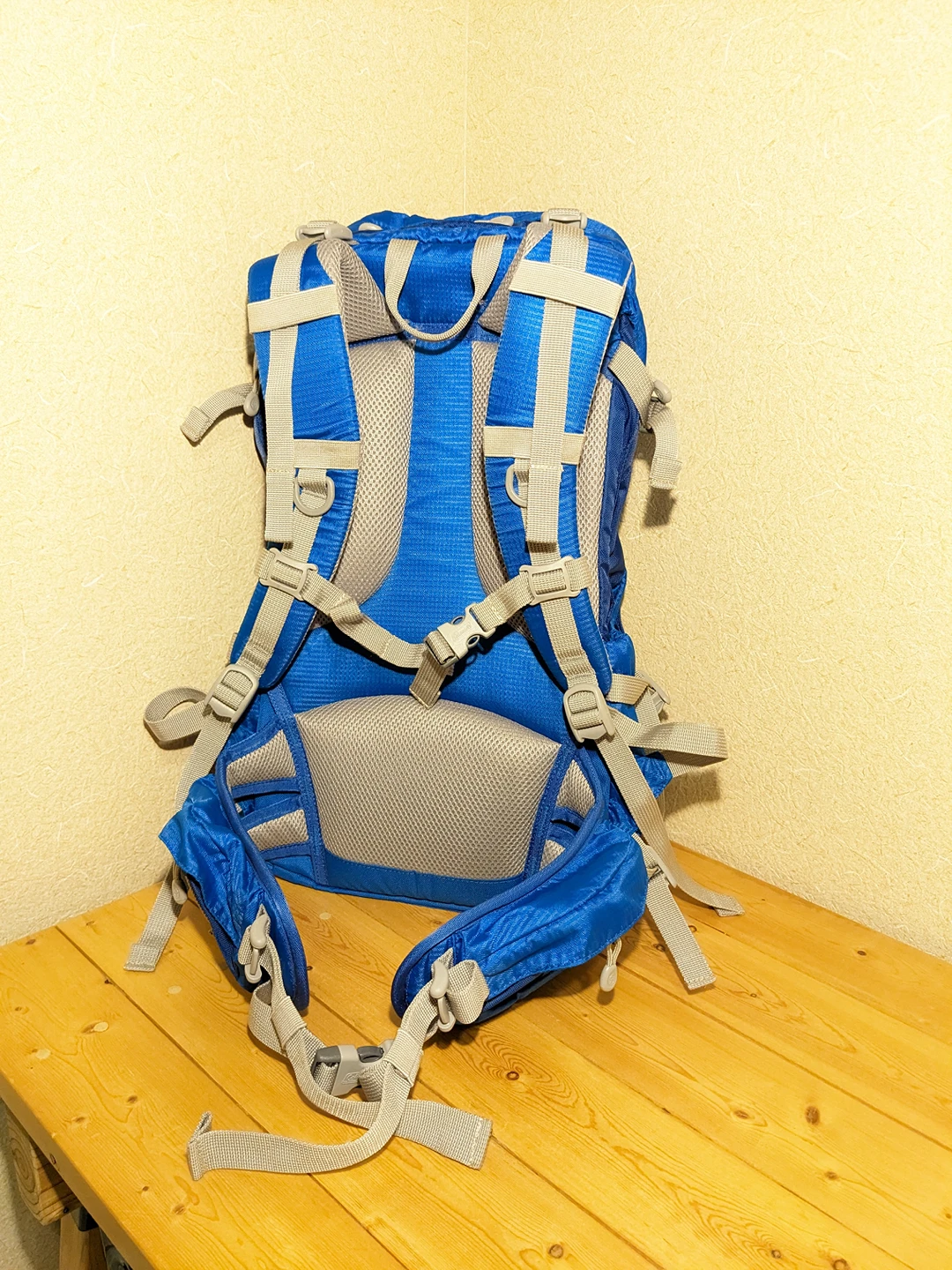【コールマン】Colemanアウトドア用リュック30L【Mt.Trek30Ⅱ】の写真4枚目