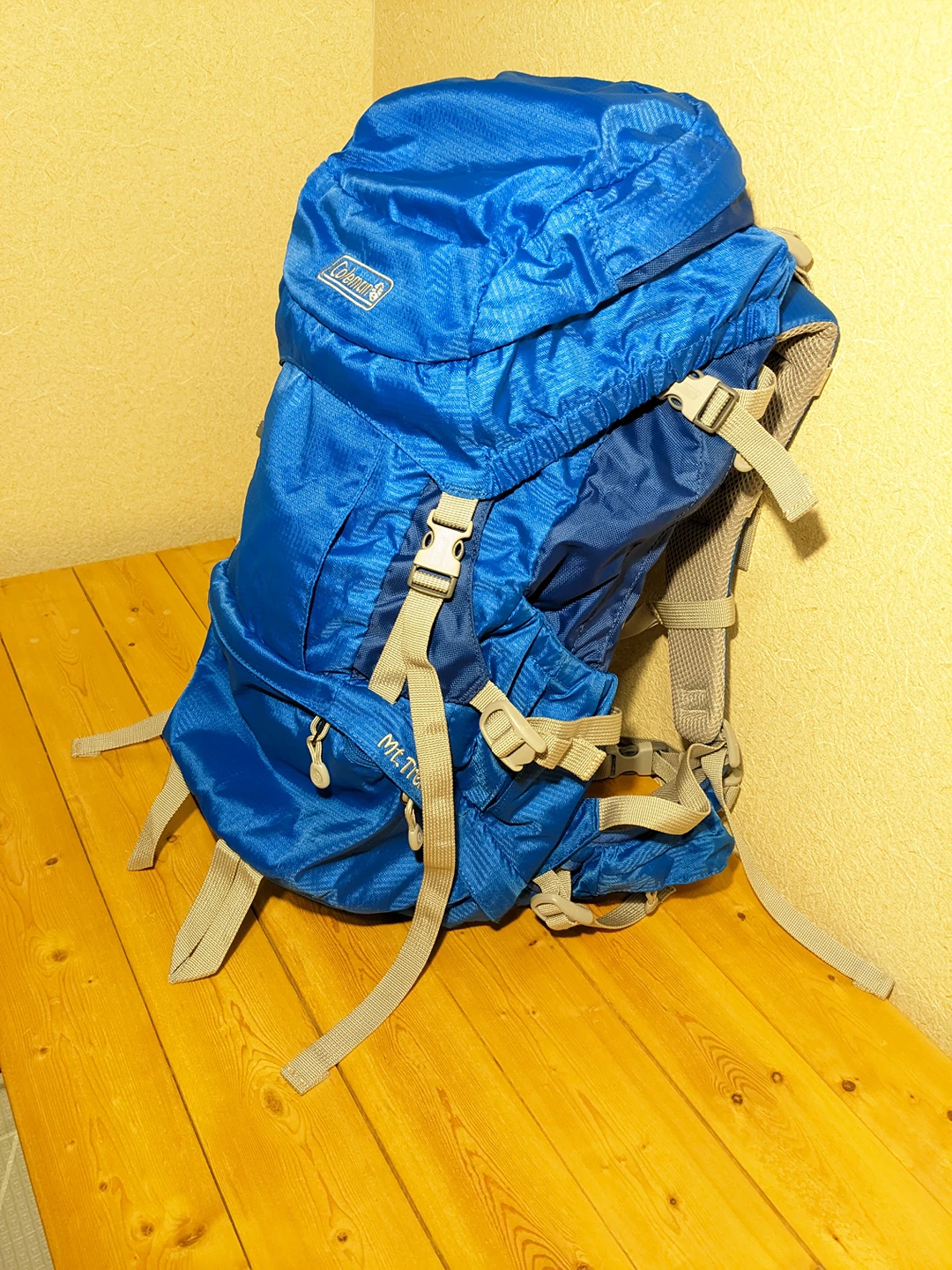 【コールマン】Colemanアウトドア用リュック30L【Mt.Trek30Ⅱ】の写真2枚目