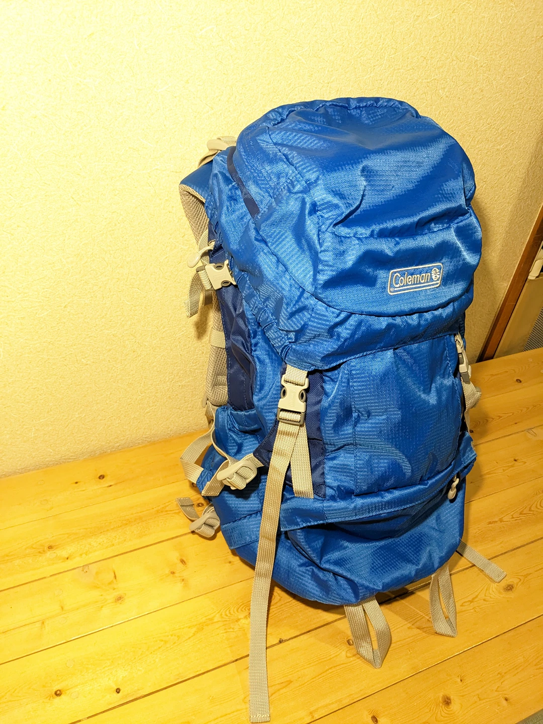 【コールマン】Colemanアウトドア用リュック30L【Mt.Trek30Ⅱ】の写真3枚目