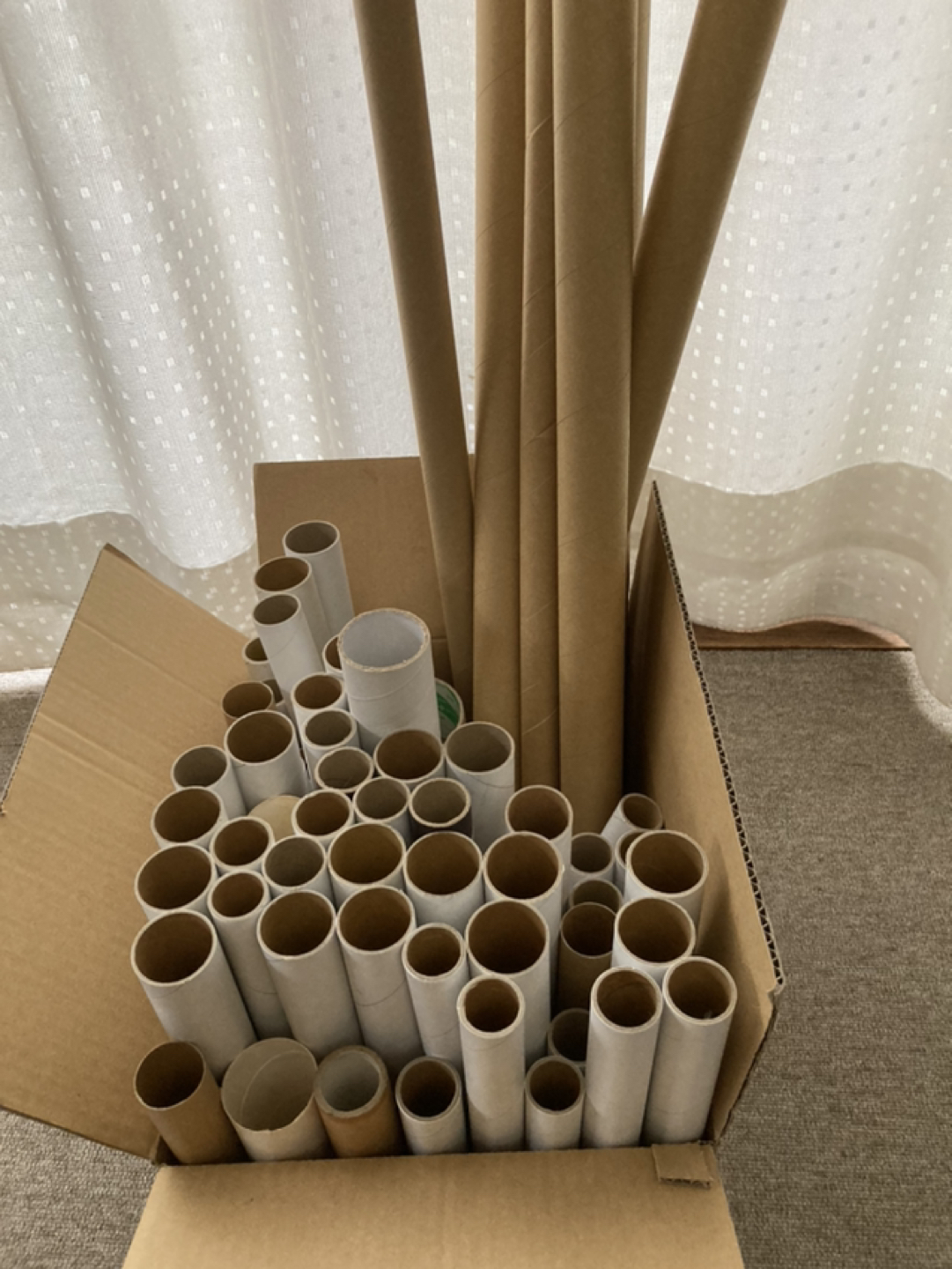 紙芯多数