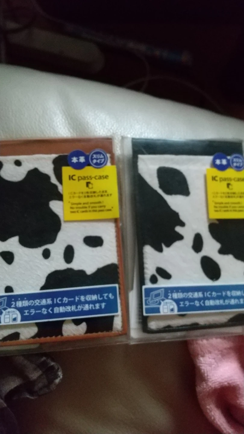 ICパスケース2点