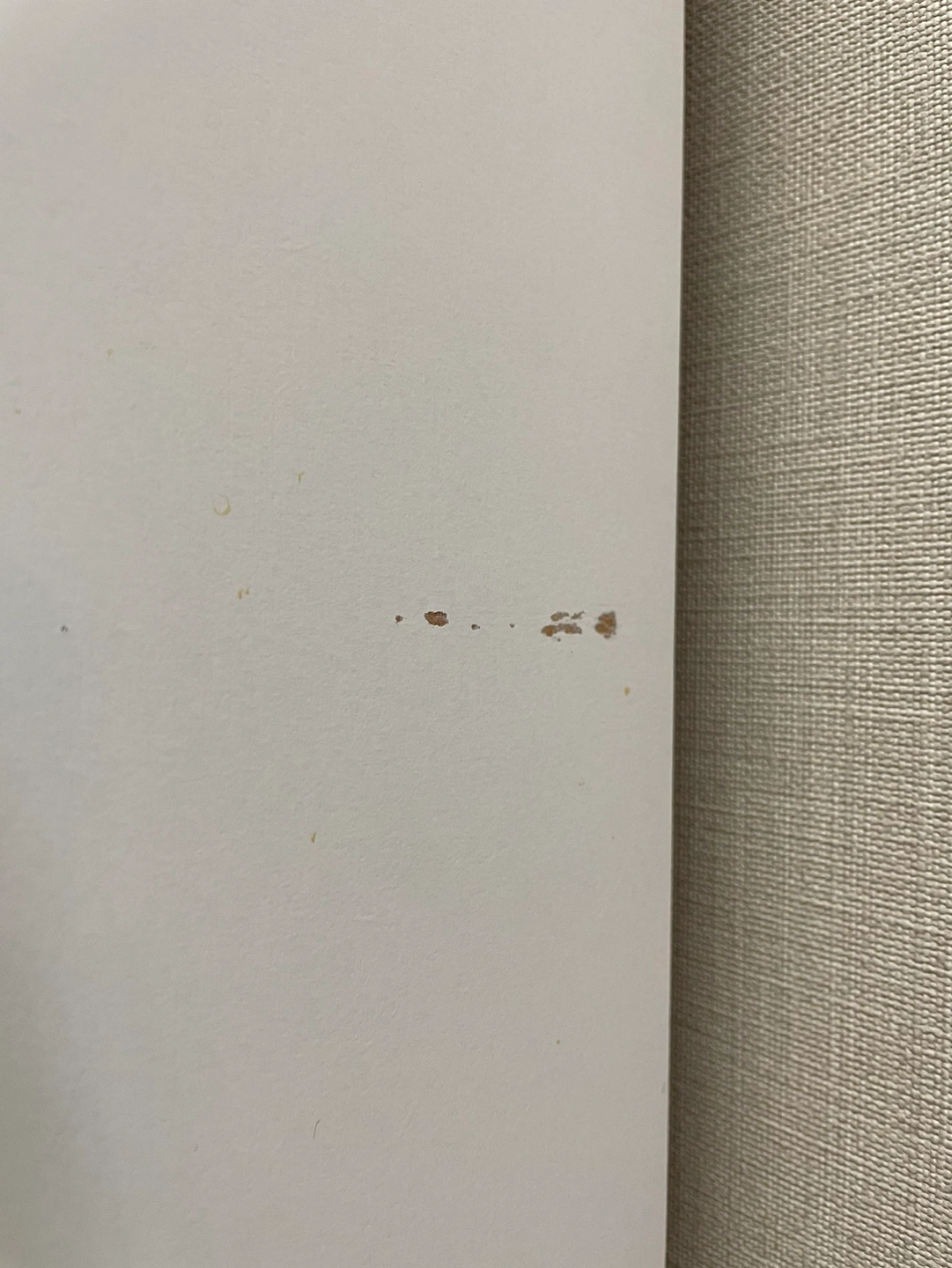 【ご相談中】ニトリ食器棚 ホワイト 差し上げますの写真5枚目