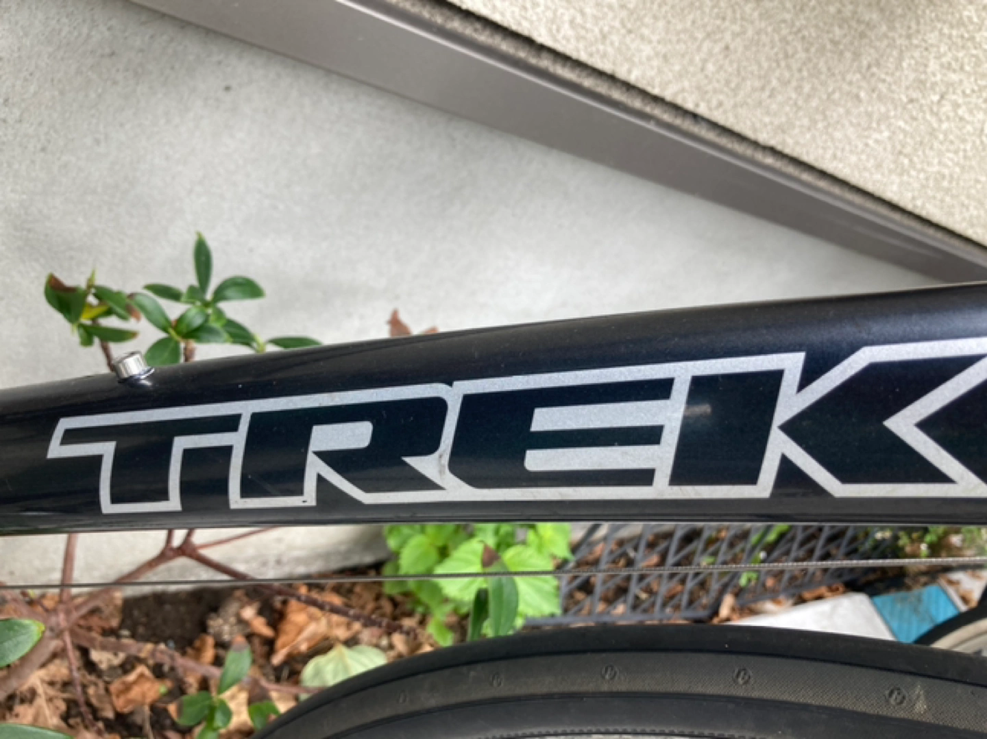 自転車の写真3枚目