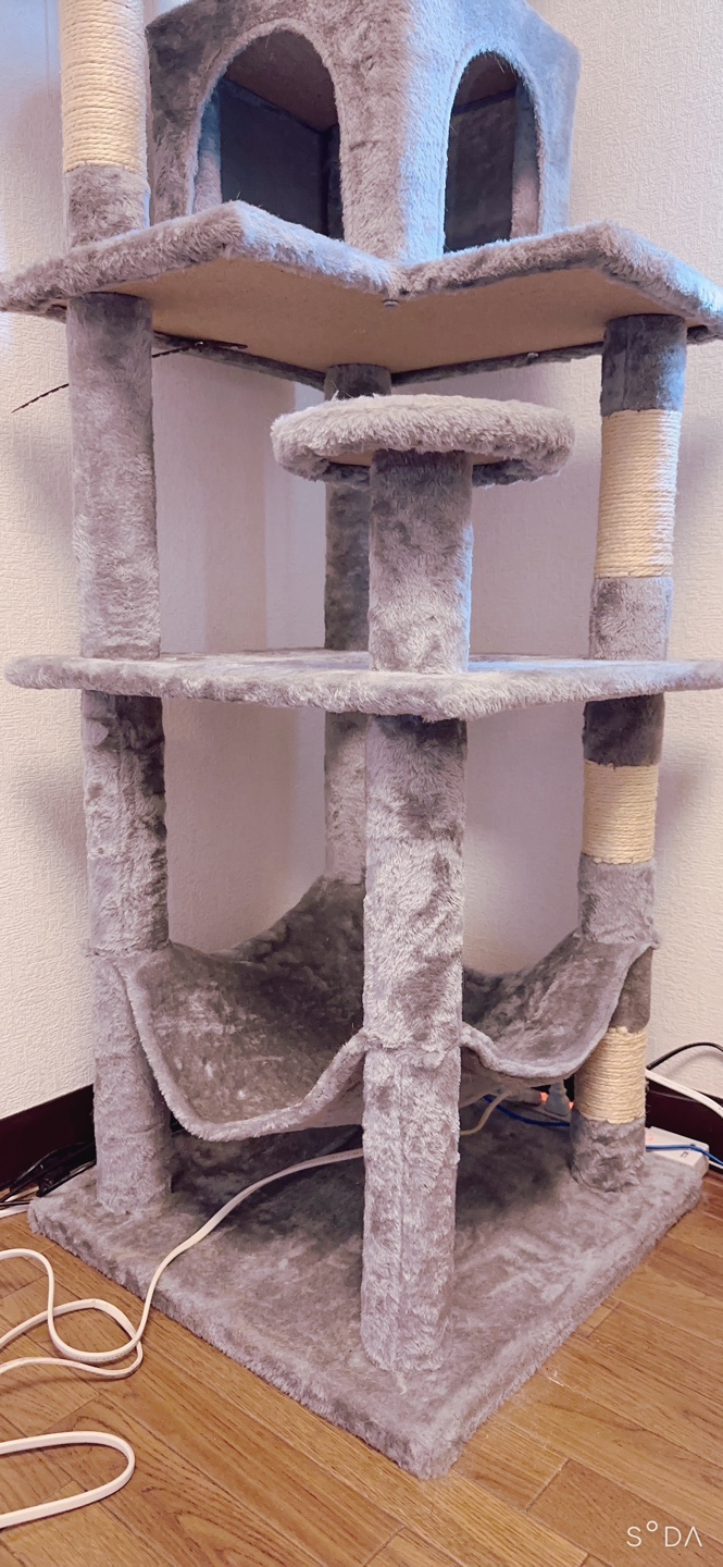 キャットタワーの写真5枚目