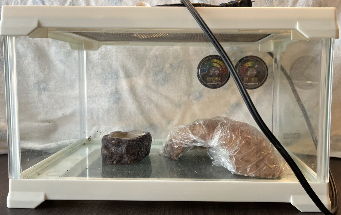 ヒョウモントカゲモドキの飼育ケージ