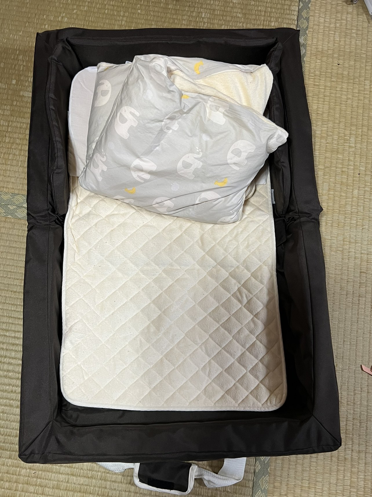 新生児用持ち運びベッドの写真10枚目