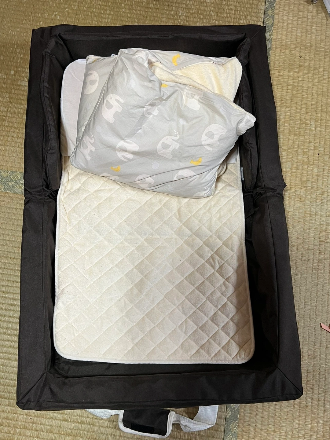 新生児用持ち運びベッドの写真10枚目