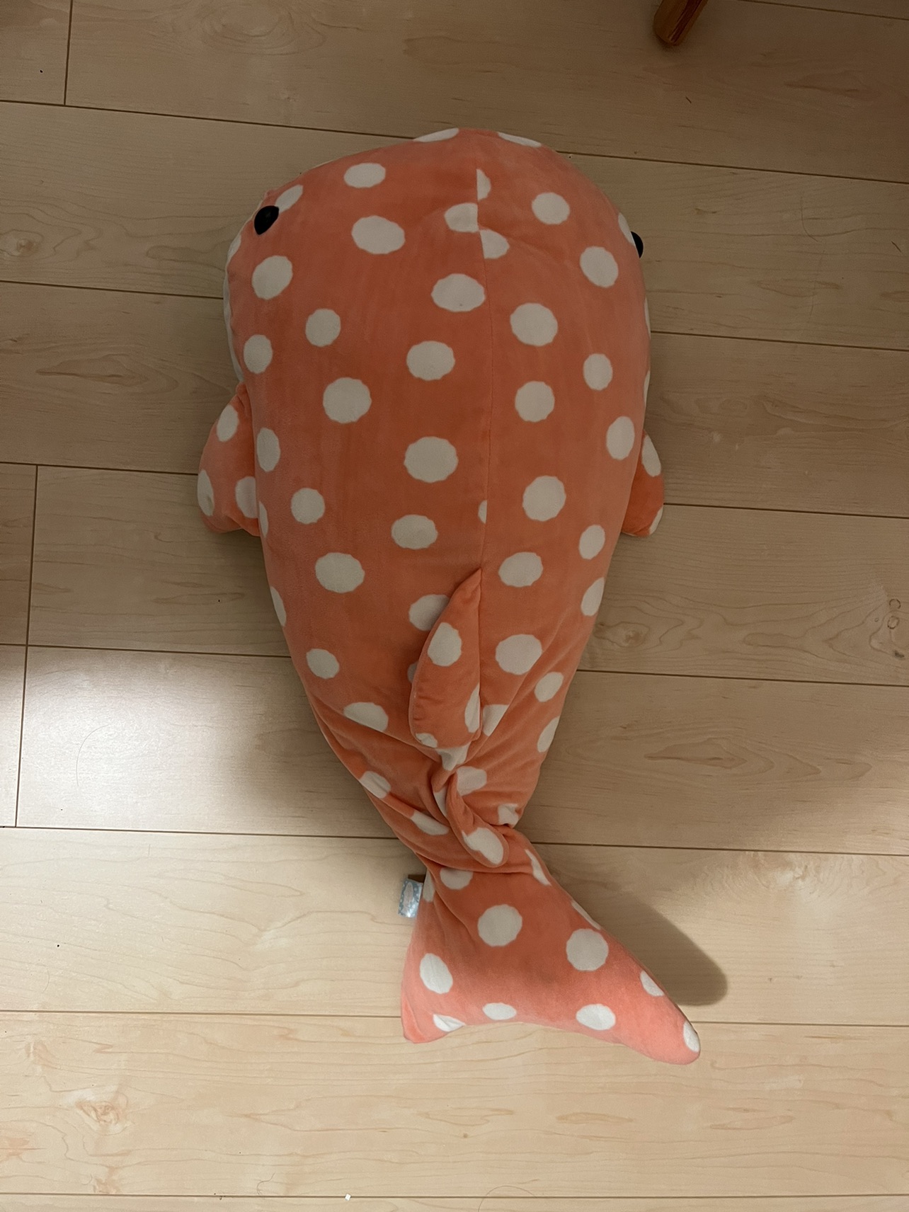 27 ぬいぐるみ　ジンベイザメの写真3枚目