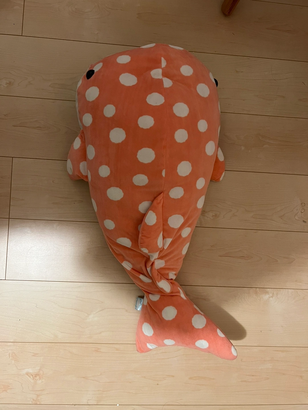 27 ぬいぐるみ ジンベイザメの写真3枚目