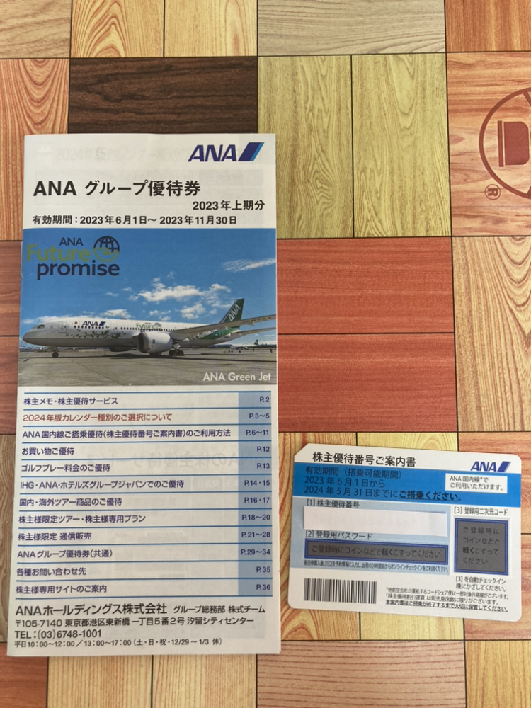 ANA国内線搭乗優待券1枚+グループ優待券