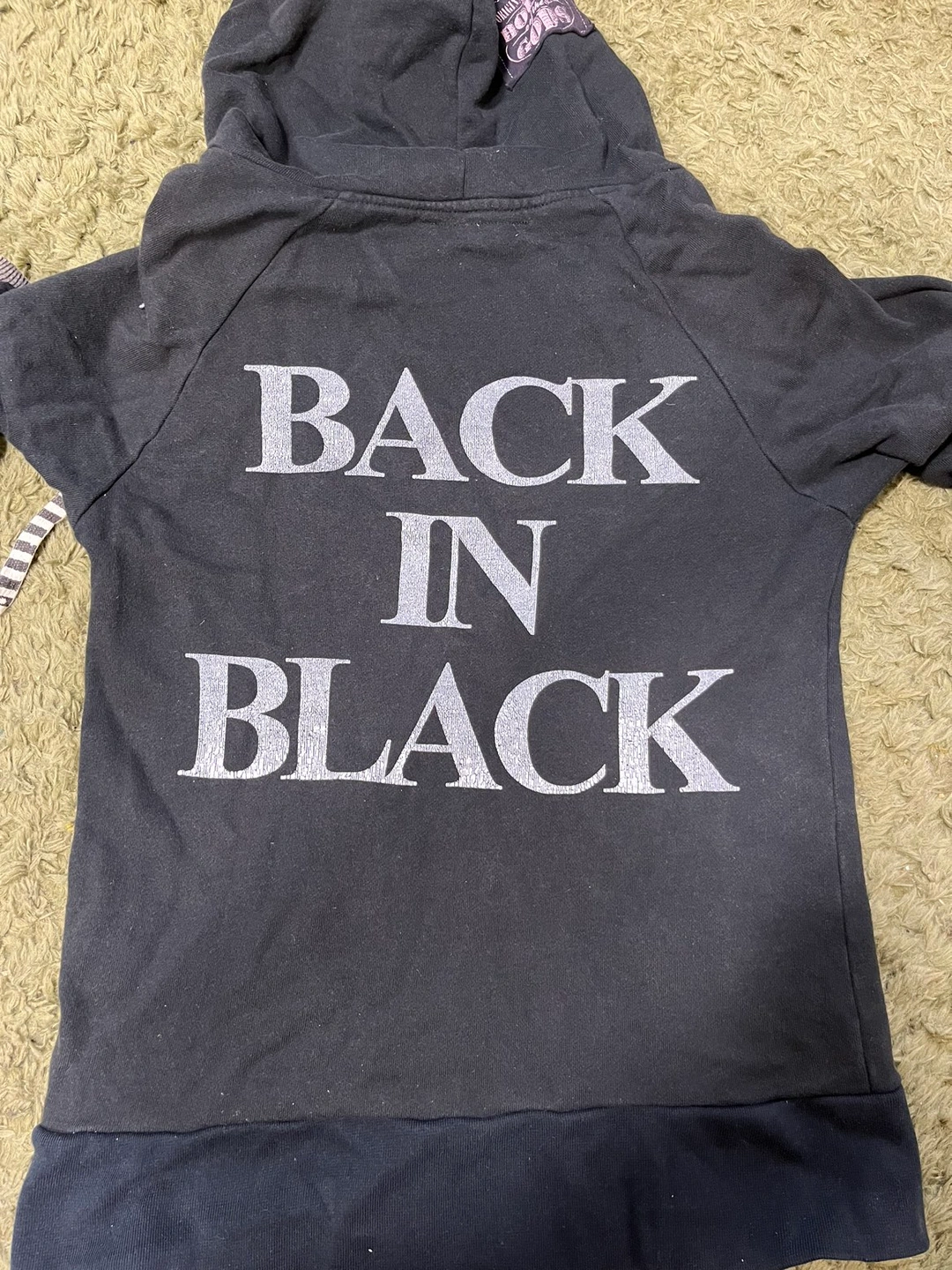 AC/DC エーシーディーシー BACK IN BLACK スウェットプルオーバーパーカー ACDC ROCKWAREの写真2枚目