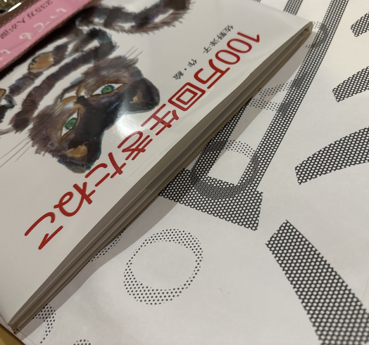 新品 100万回生きたねこの写真2枚目