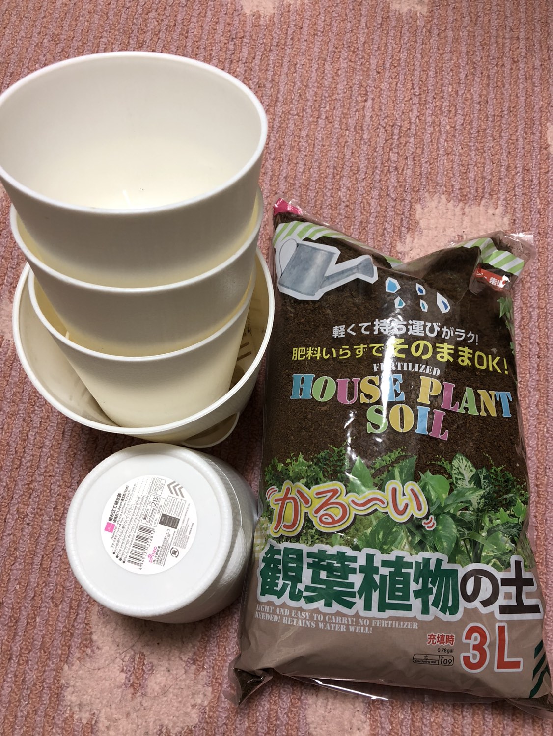 観葉植物　鉢と土