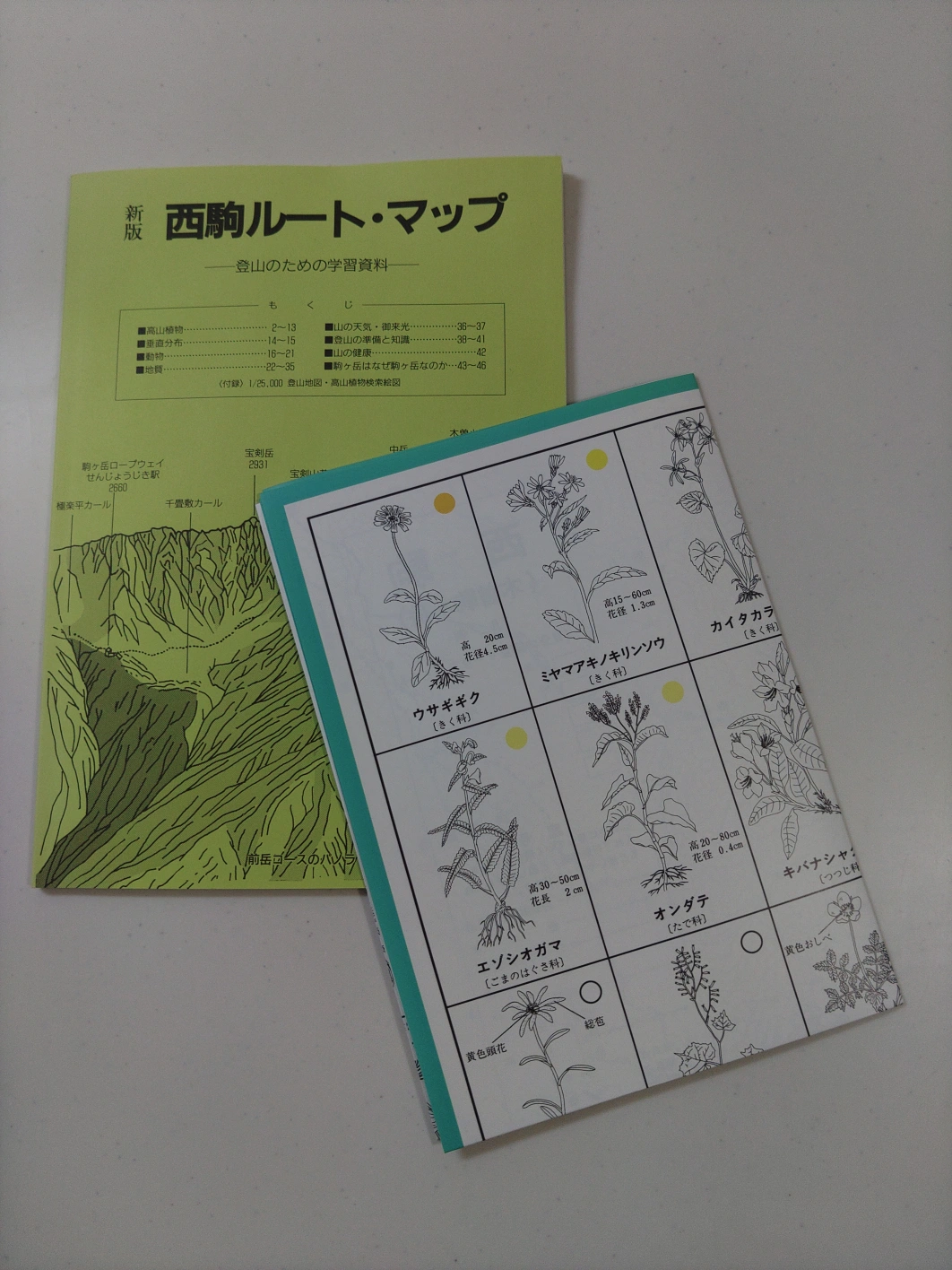 新版 西駒ルート・マップ 登山のための学習資料の写真3枚目