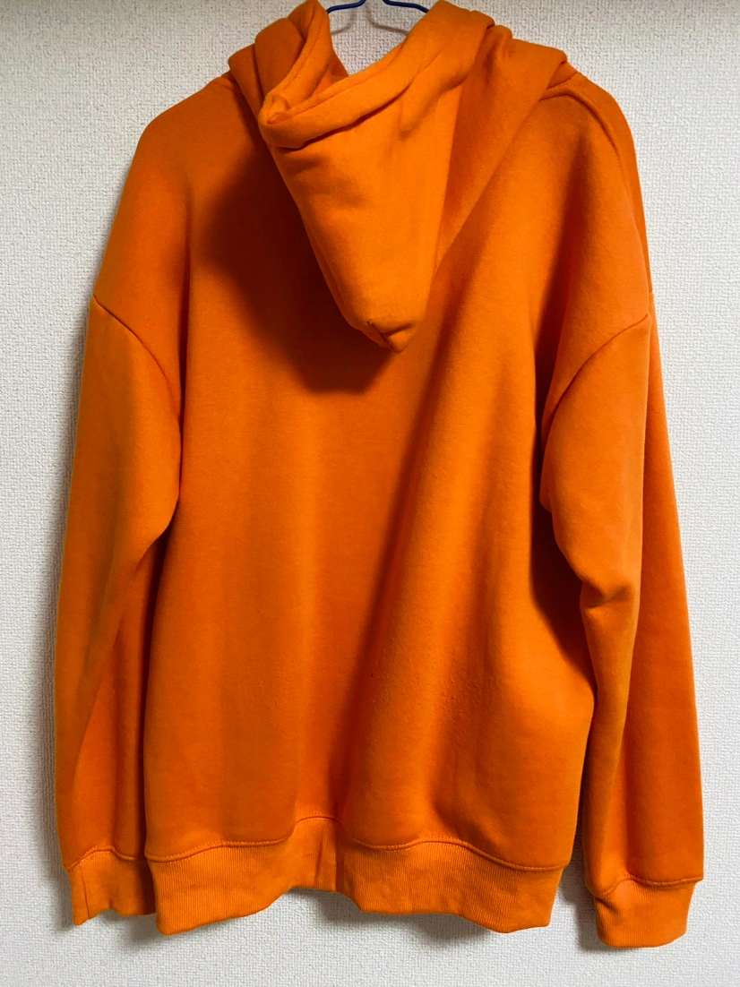 カーハート(Carhartt) パーカーの写真2枚目