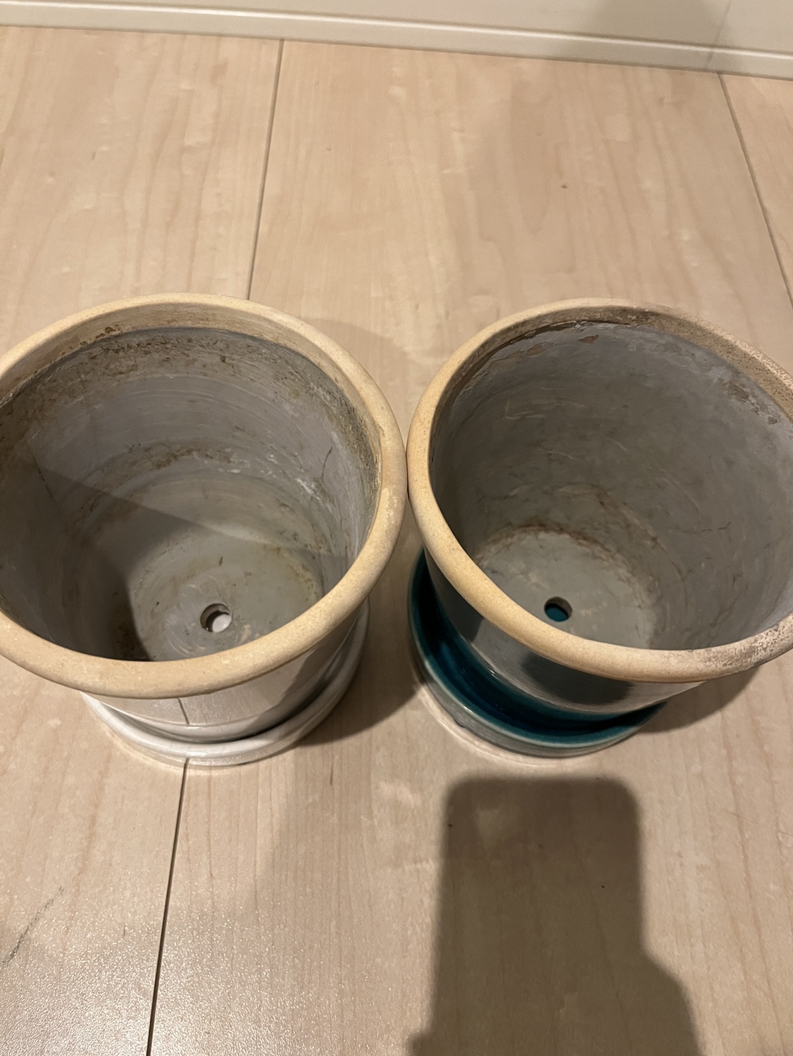 鉢　4点セット　※12/15まで！の写真2枚目