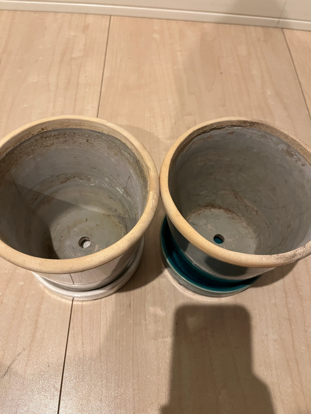 鉢 4点セット ※12/15まで!の写真2枚目