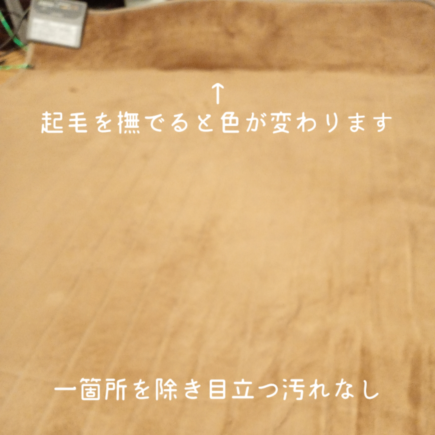 2021年製 国産ホットカーペット 1畳 取説有りの写真2枚目