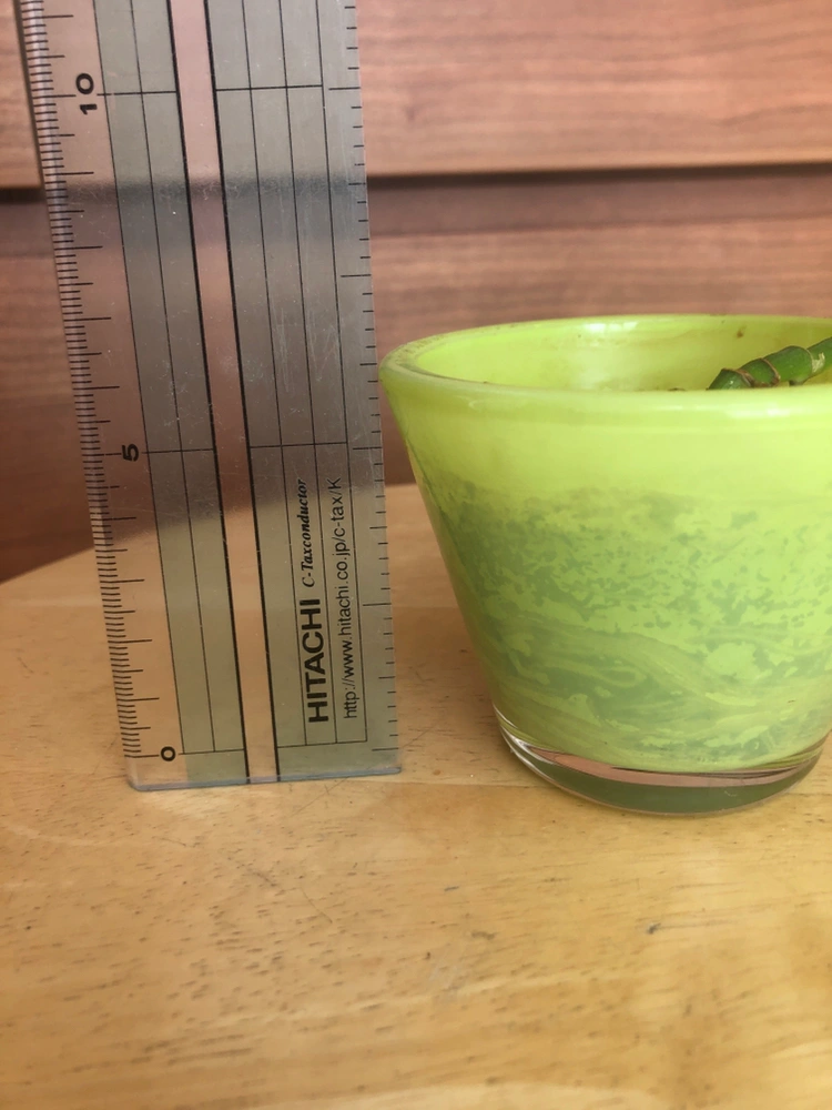 【ありがとうございました】観葉植物 ポトス(ライムグリーン)の写真2枚目