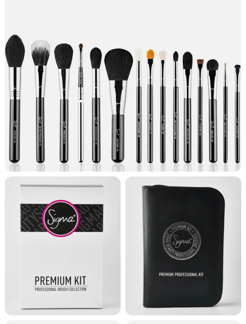 SIGMA Beauty 15 pc Premium Brush Kit NWT Sigma Beauty