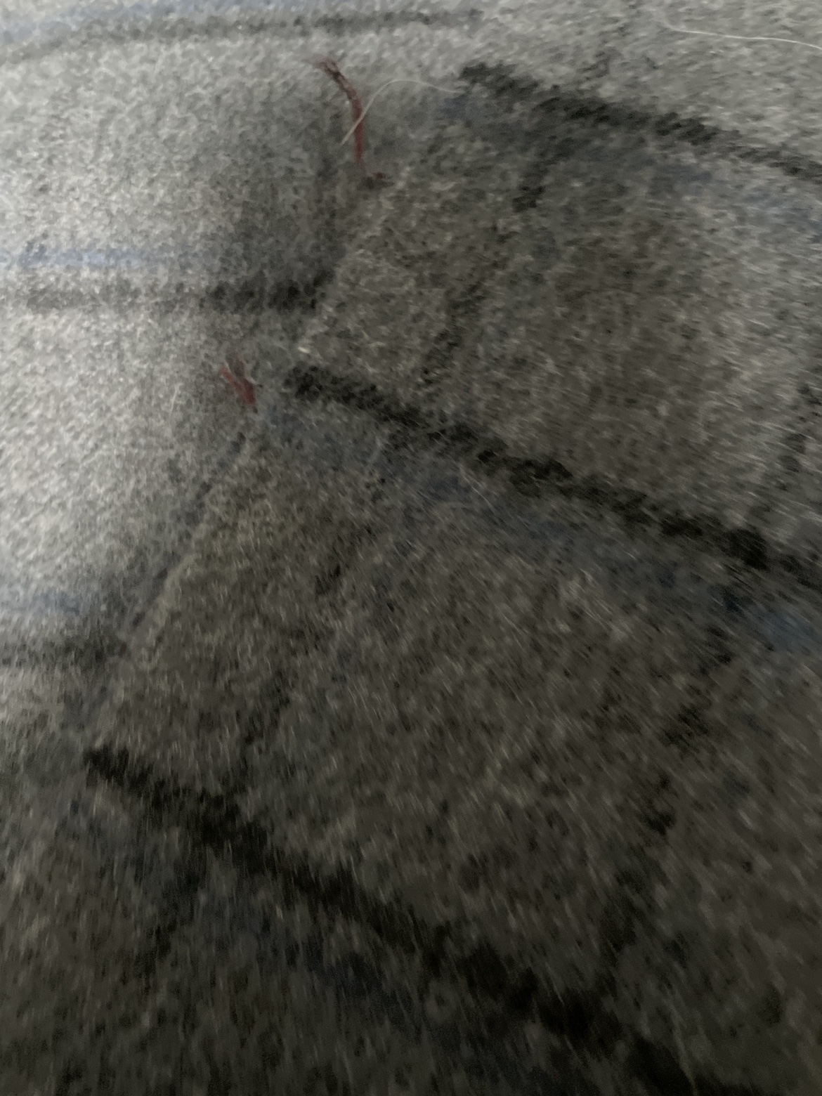 マフラーの写真2枚目