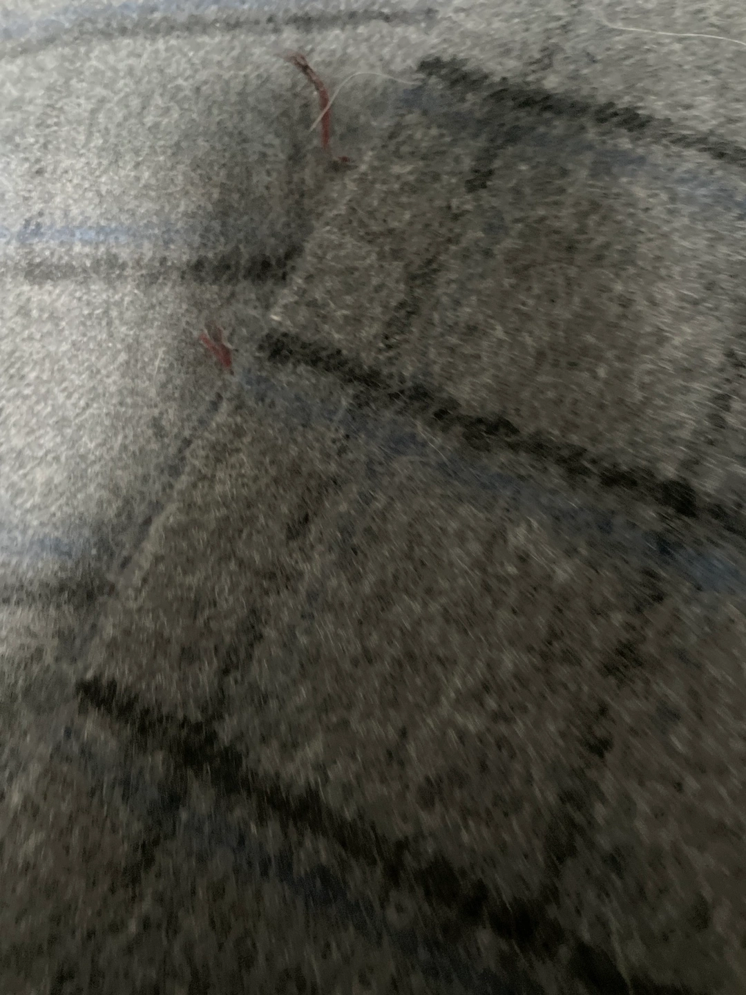 マフラーの写真2枚目