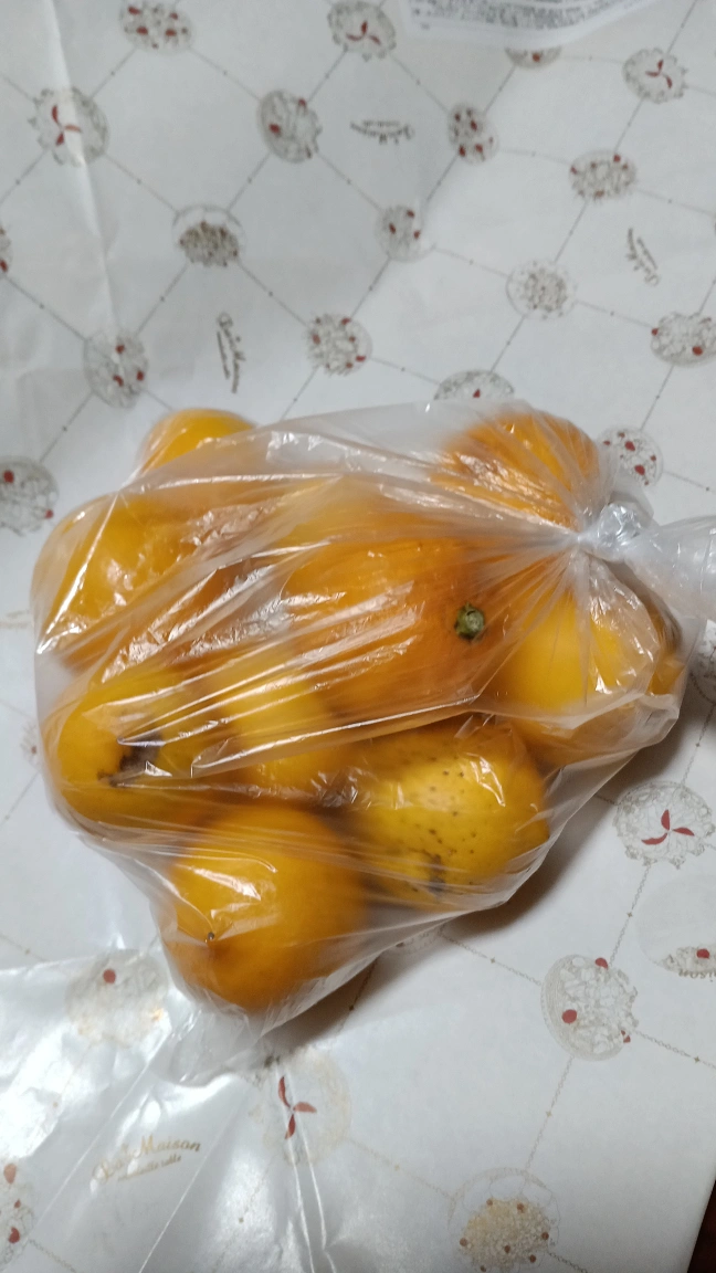 我が家のレモンです。🥺の写真2枚目