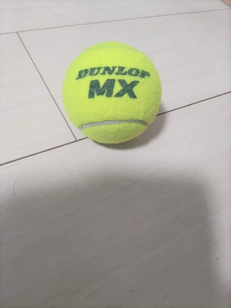 中古 硬式テニスボール 10個の写真2枚目