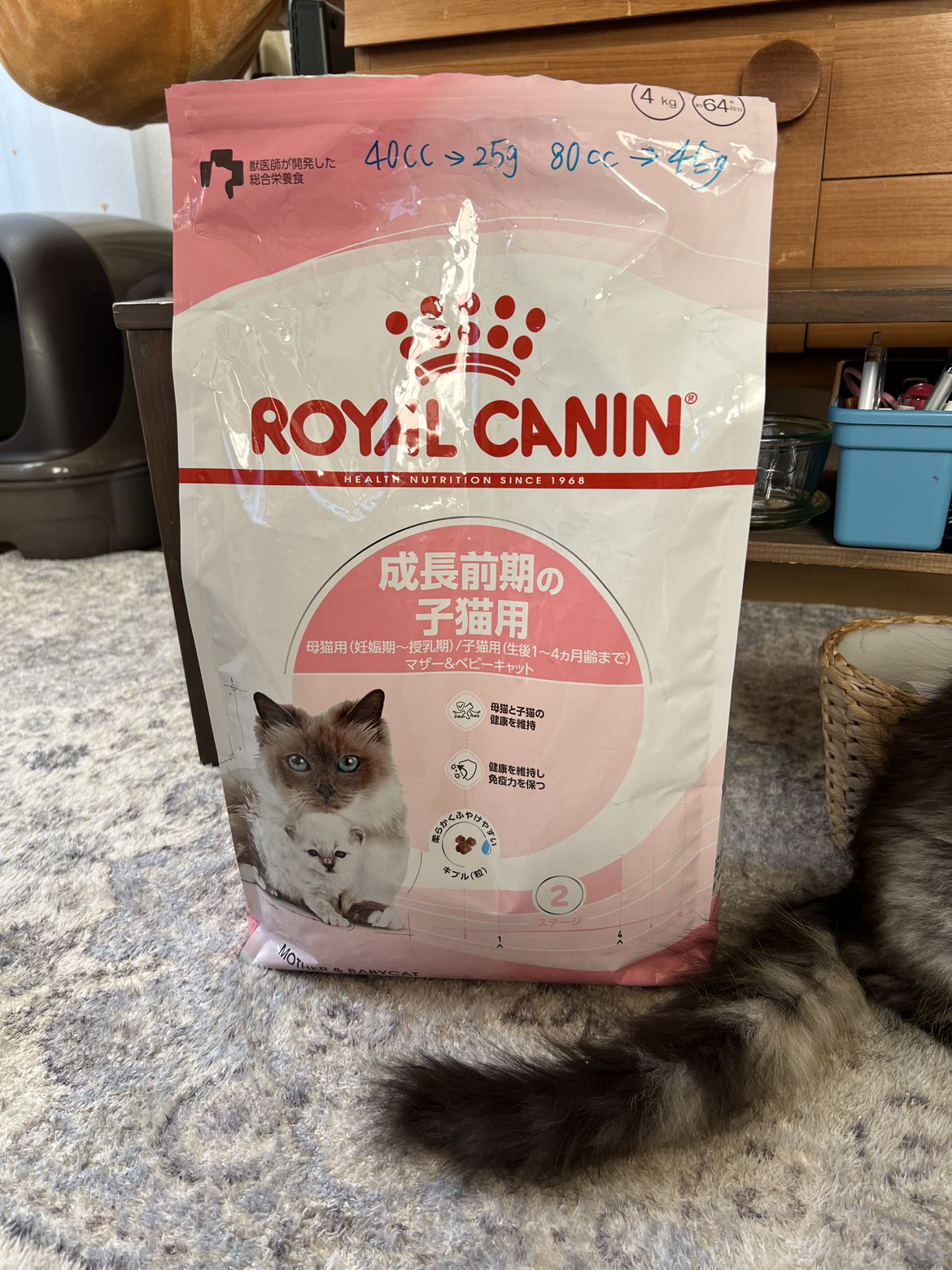 子猫用キャットフード譲ります